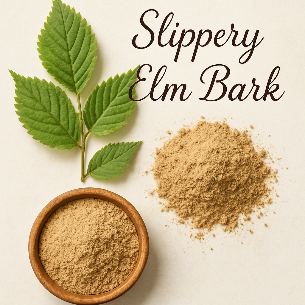 Slipper Elm Bark – A soothing herb